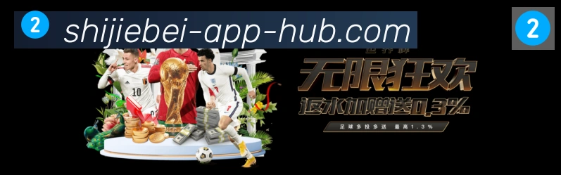 世界杯客户端下载APP 封面图